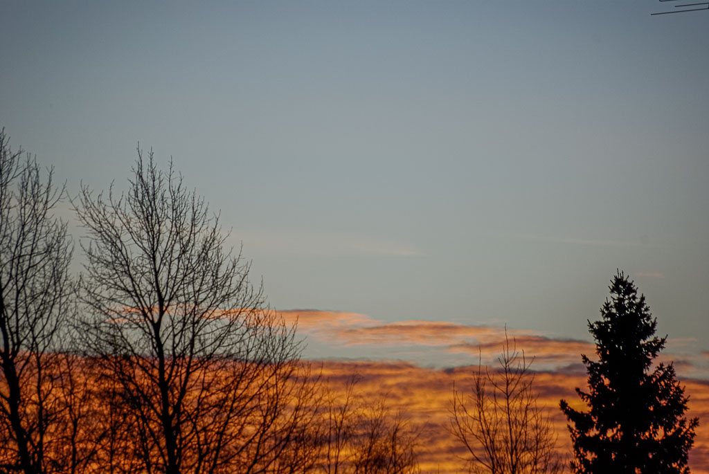 Februar 2008