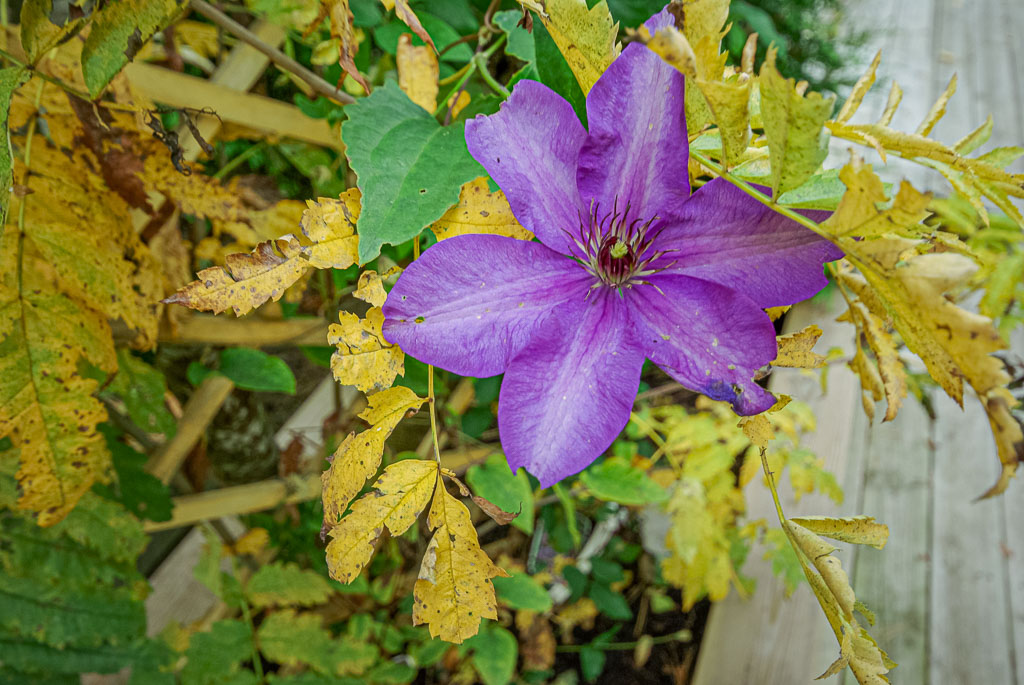 Oktober 2008