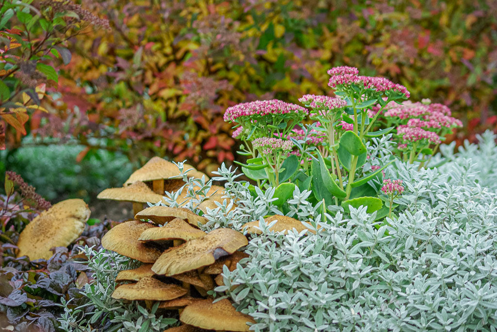 Oktober 2008