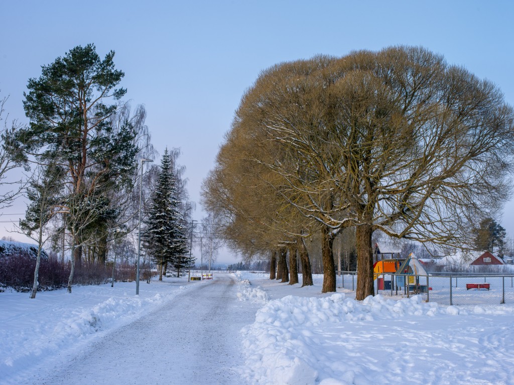 Januar 2021