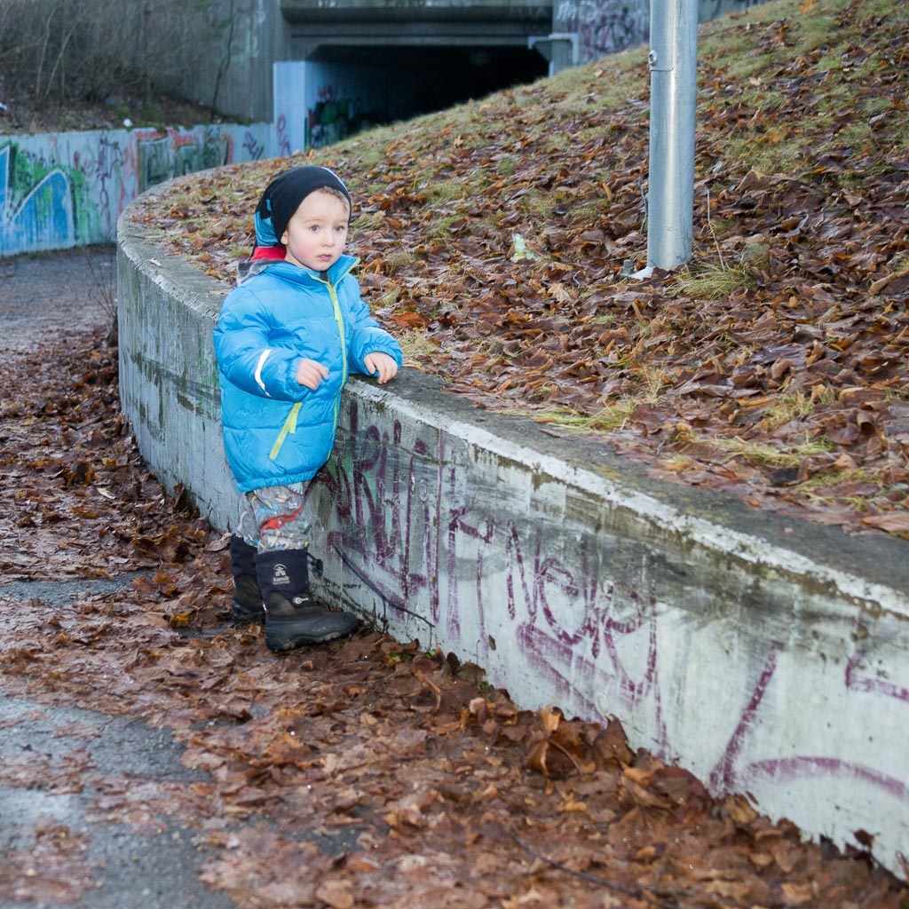 Oskar 2015